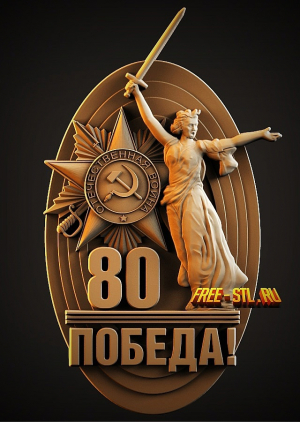 Модель №6699