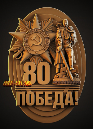 Модель №6698